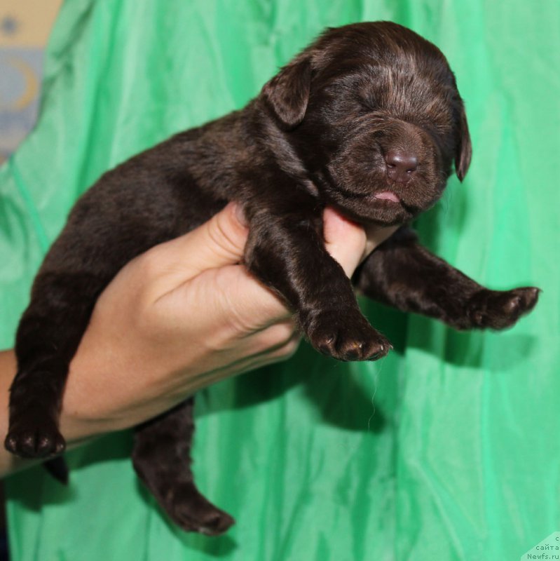 Фотография № 160016