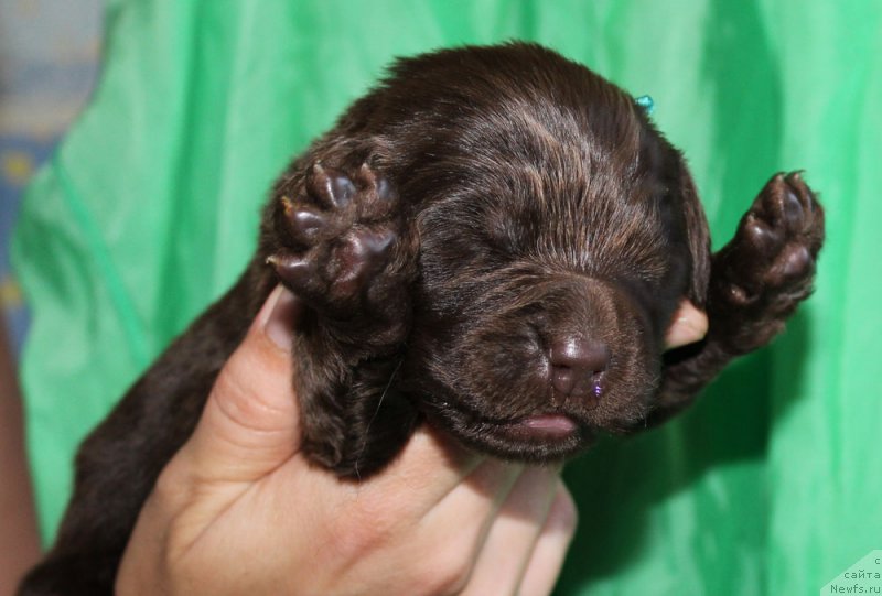 Фотография № 160017