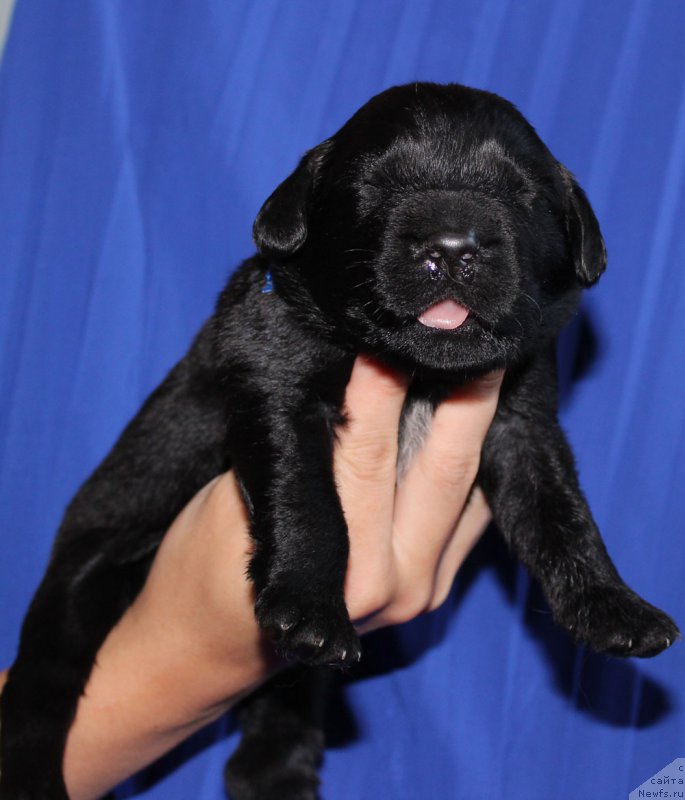 Фотография № 160019