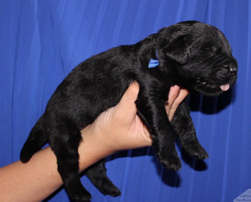 Фотография № 160021