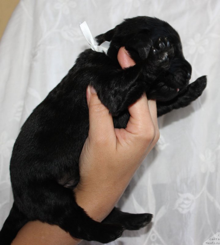 Фотография № 160022