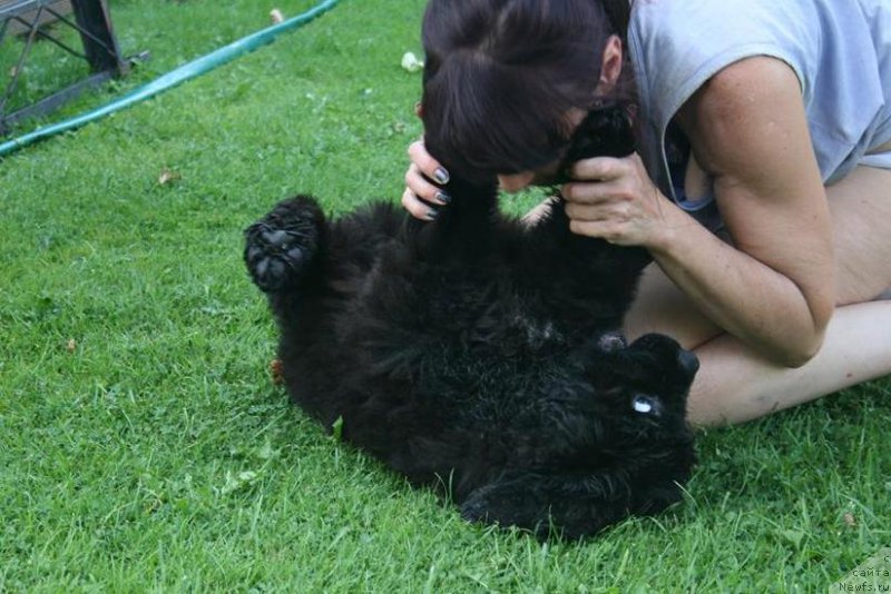 Фотография № 160047