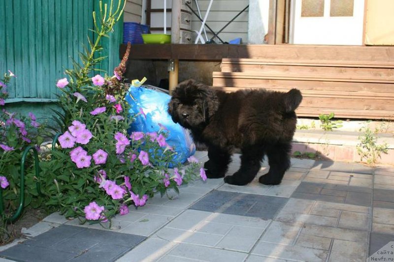 Фотография № 160048