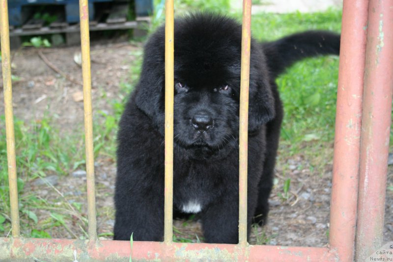 Фотография № 160050