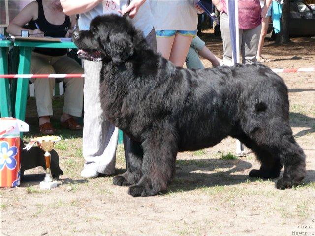 Фотография № 16006