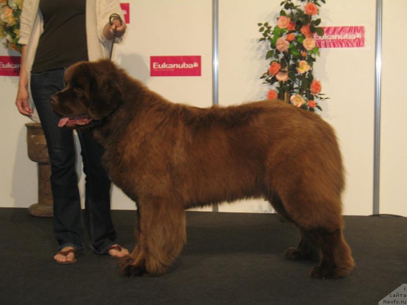 Фотография № 160075