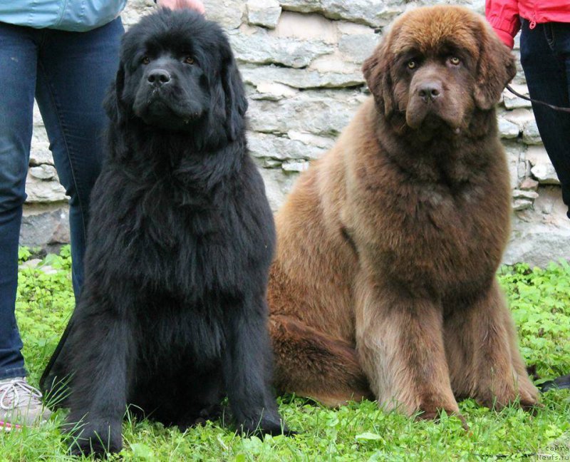 Фотография № 160076