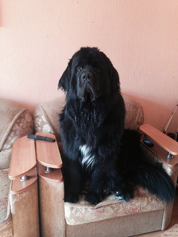 Фотография № 160105