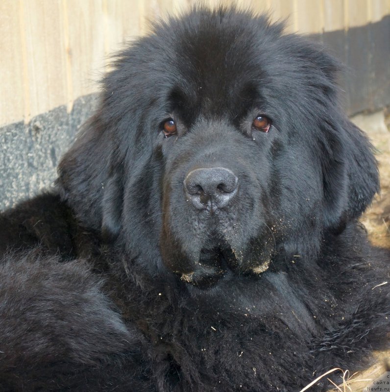 Фотография № 160110