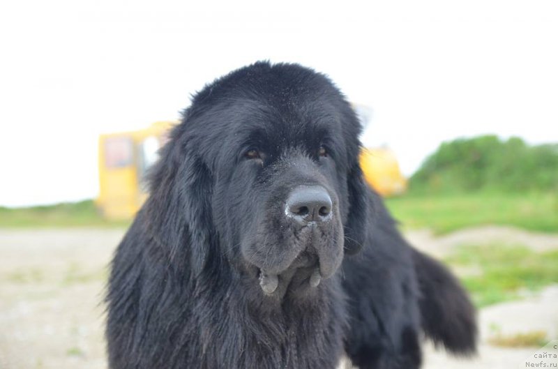 Фотография № 160159