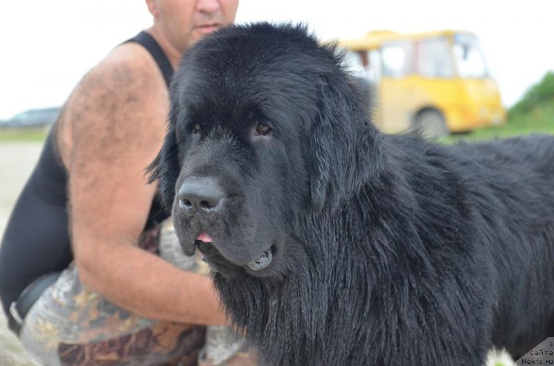 Фотография № 160160