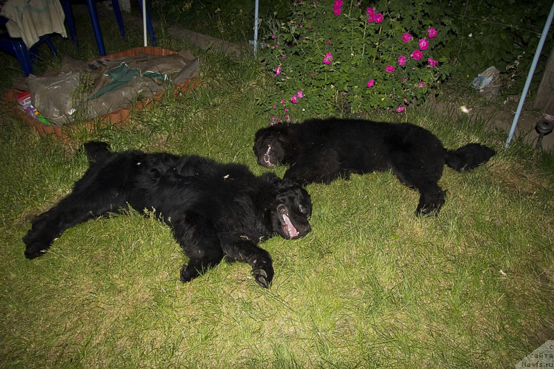 Фотография № 160172