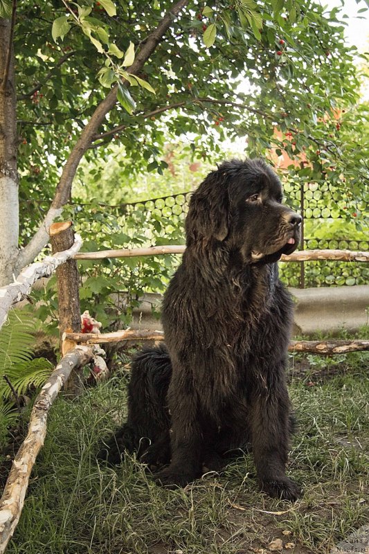 Фотография № 160174