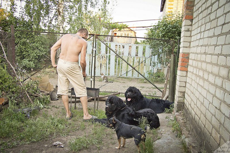 Фотография № 160175