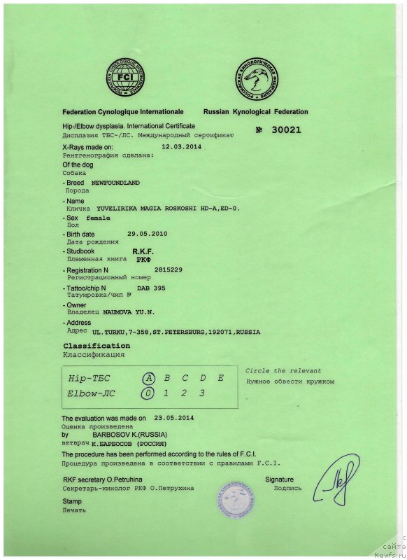 Фото: ньюфаундленд Ювелирика Магия Роскоши
