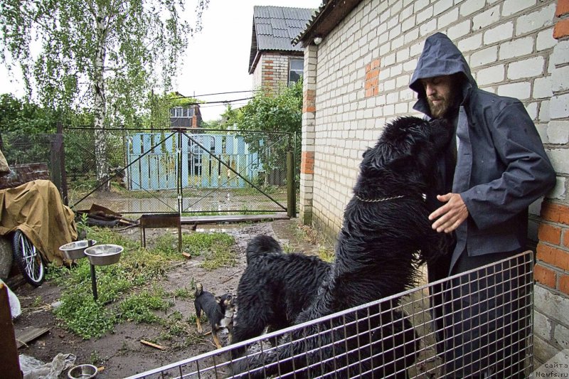 Фотография № 160178