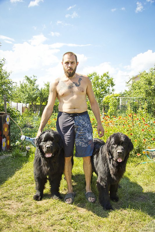 Фотография № 160179