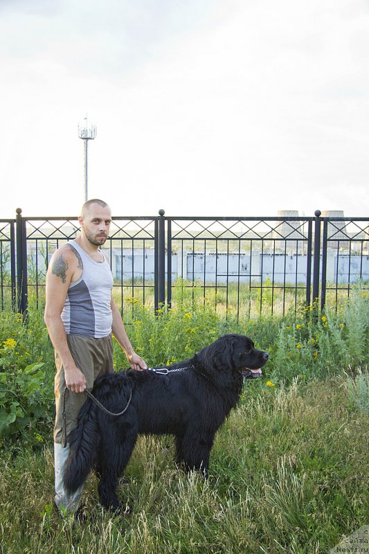 Фотография № 160180