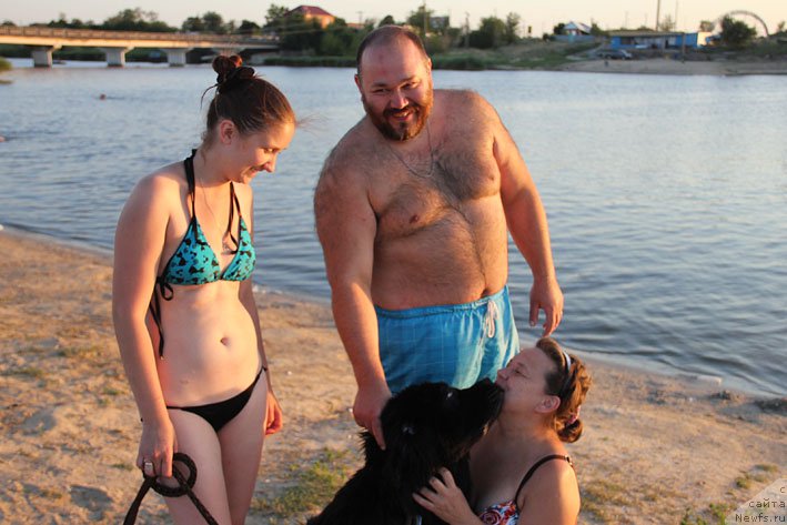 Фото: ньюфаундленд Черный Чанк с Берега Дона (Chernyj Chank s Berega Dona), Кирил Ермаков, Ирина Складнова, и, Наталья Татаринова