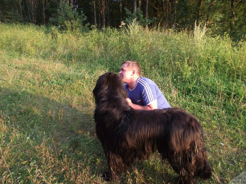 Фотография № 160201