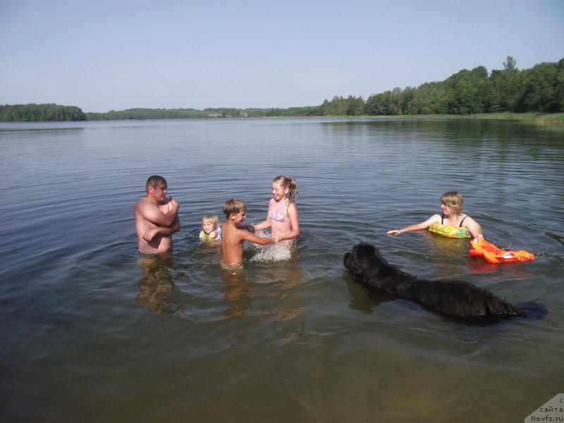 Фотография № 160208