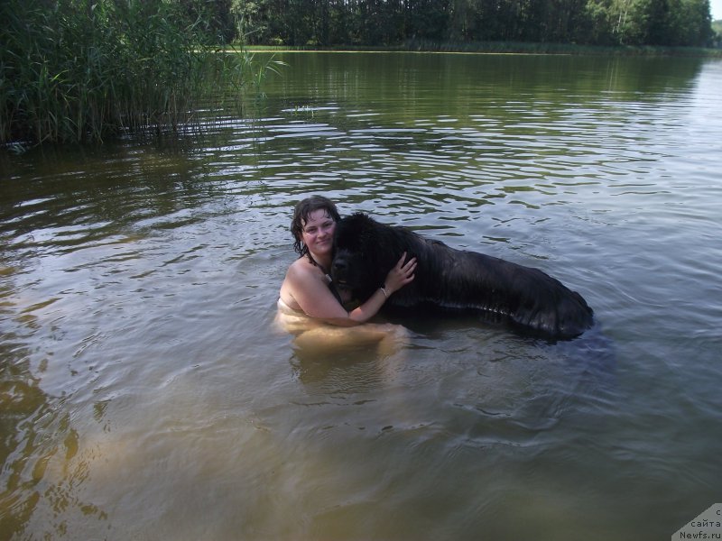 Фотография № 160213