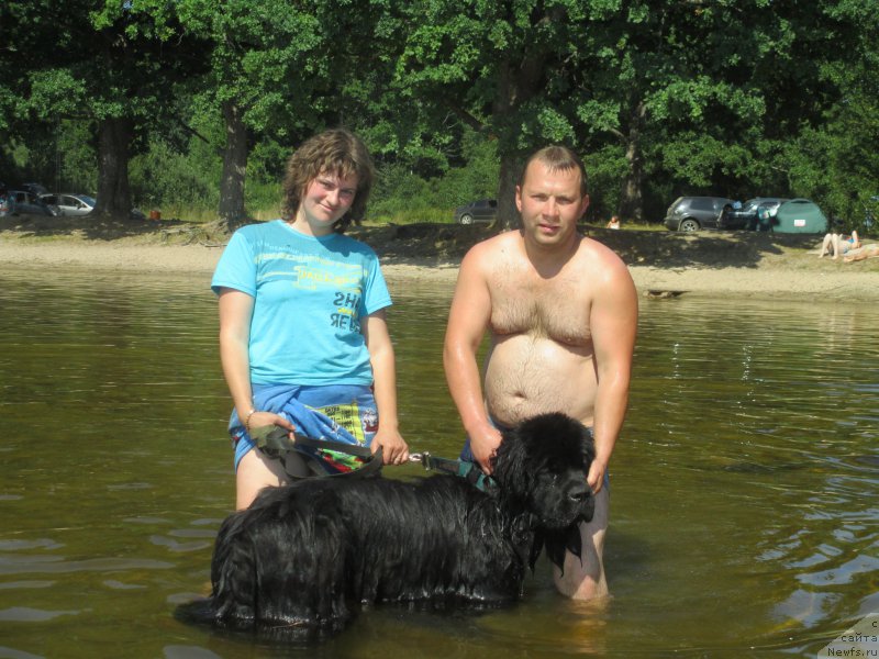 Фотография № 160217