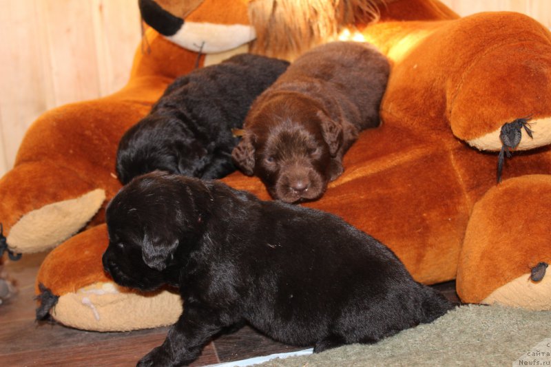 Фотография № 160222