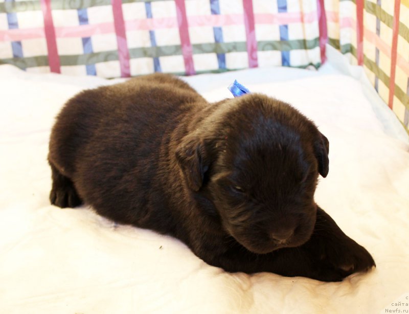 Фотография № 160224