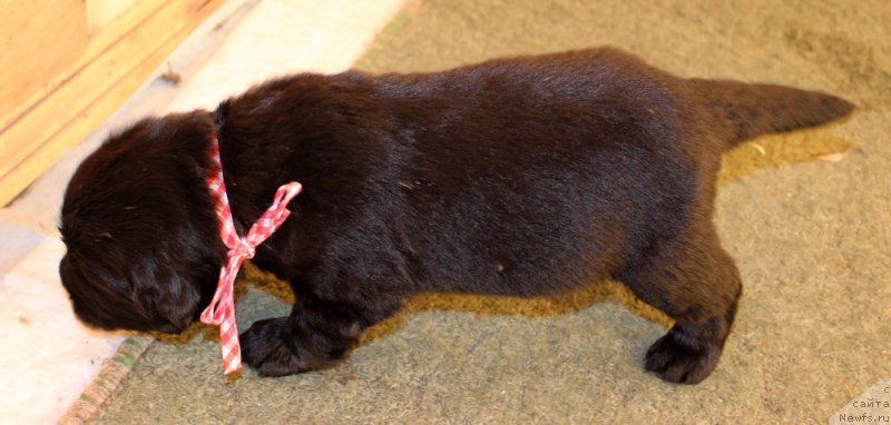 Фотография № 160228