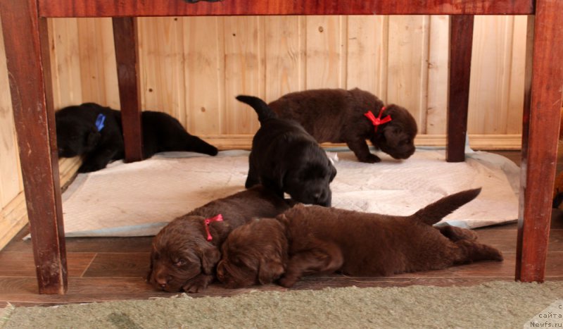 Фотография № 160229