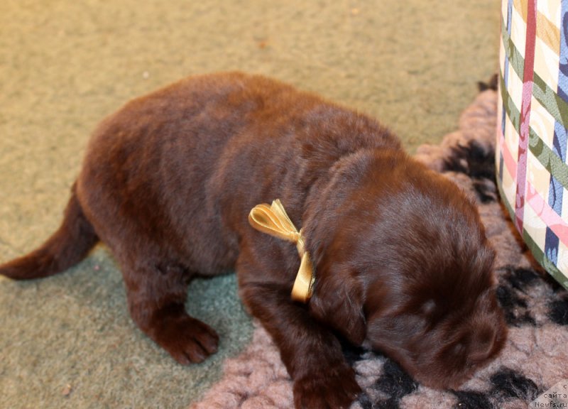 Фотография № 160230