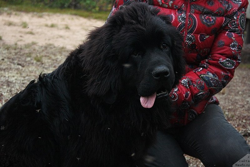 Фотография № 160271