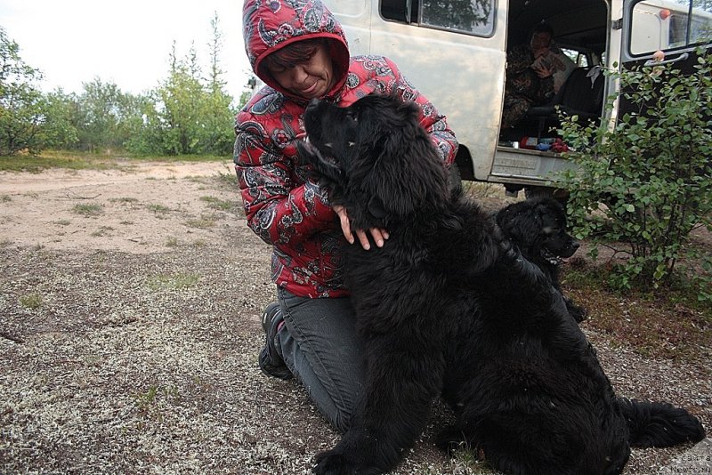 Фотография № 160272