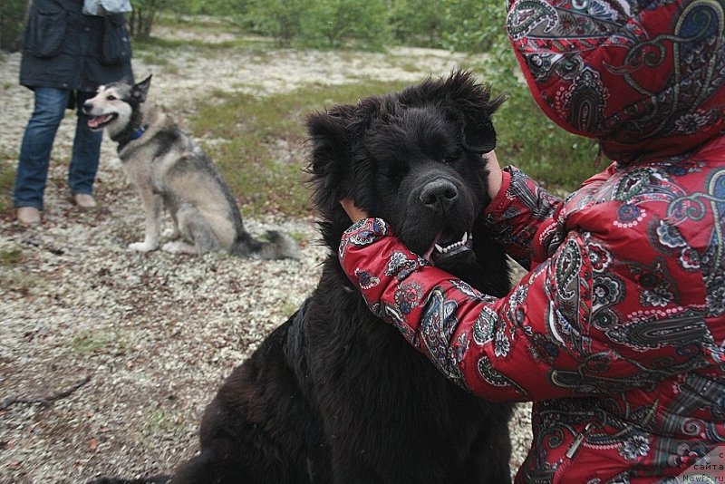 Фотография № 160273