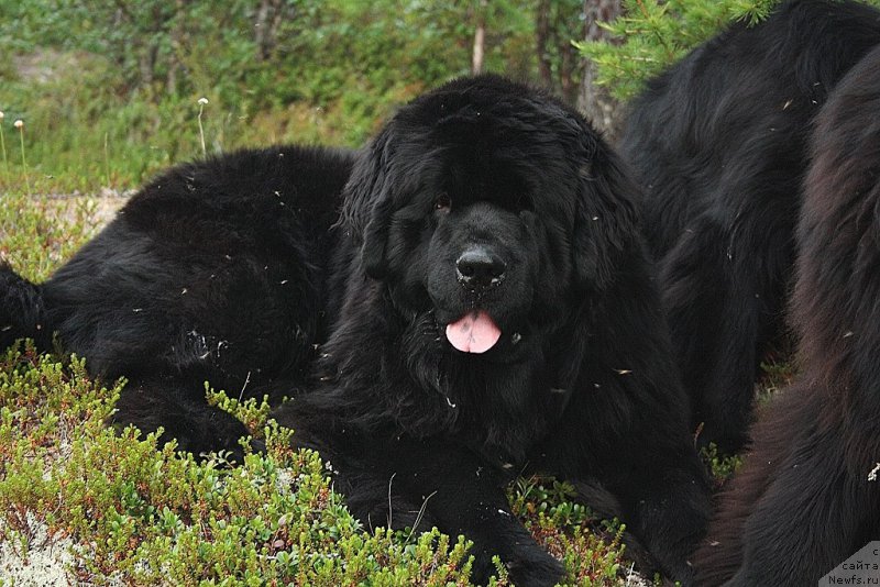 Фотография № 160275