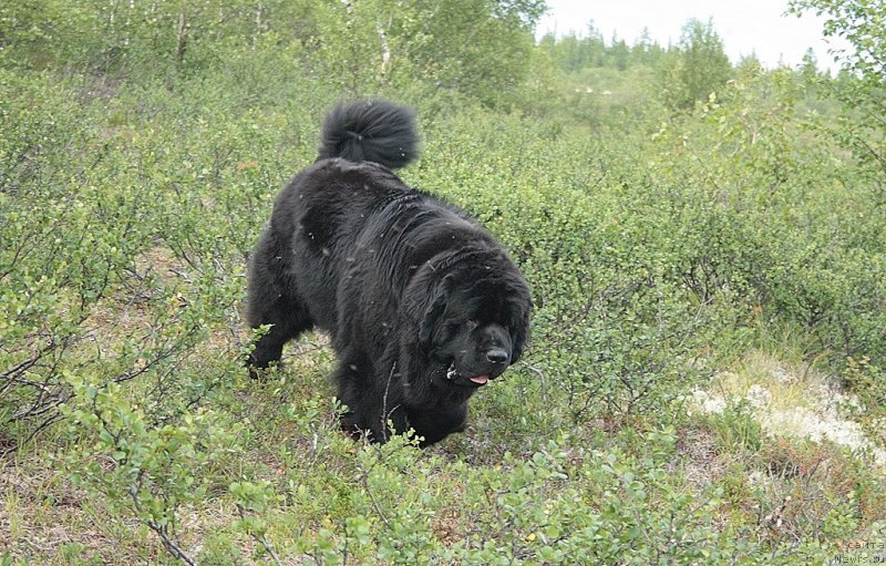 Фотография № 160276