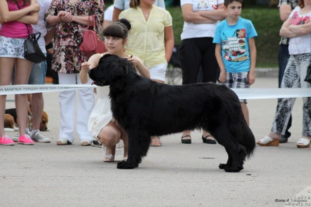 Фотография № 160278