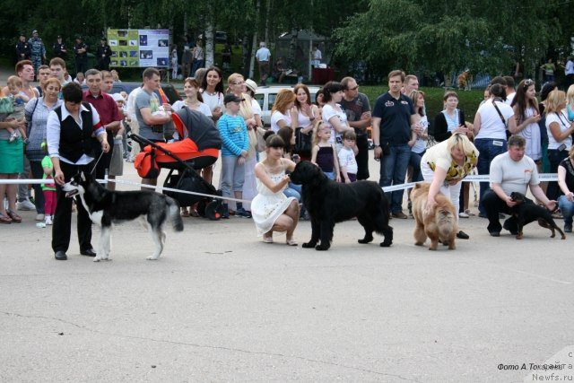 Фотография № 160279