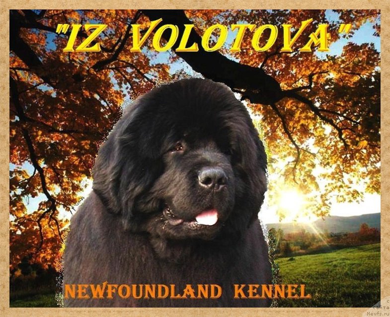 Фотография № 160300