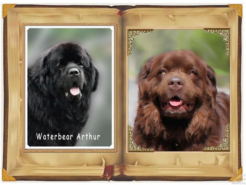 Фотография № 160324