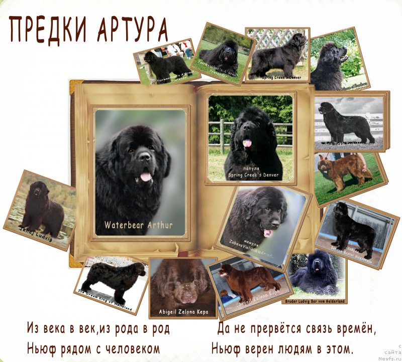 Фотография № 160326