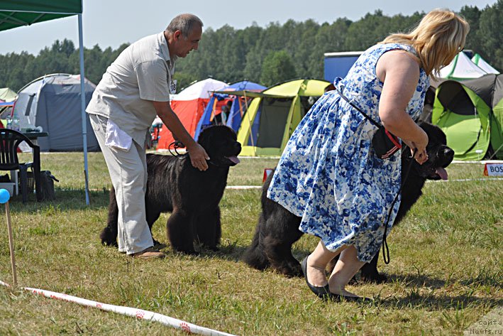 Фотография № 160360