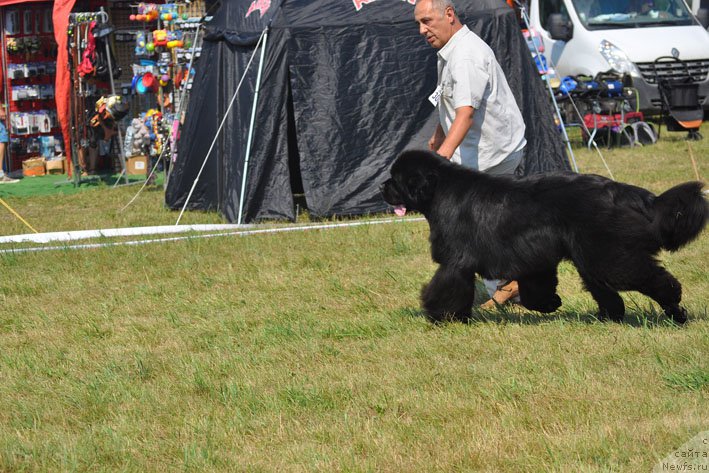 Фотография № 160361