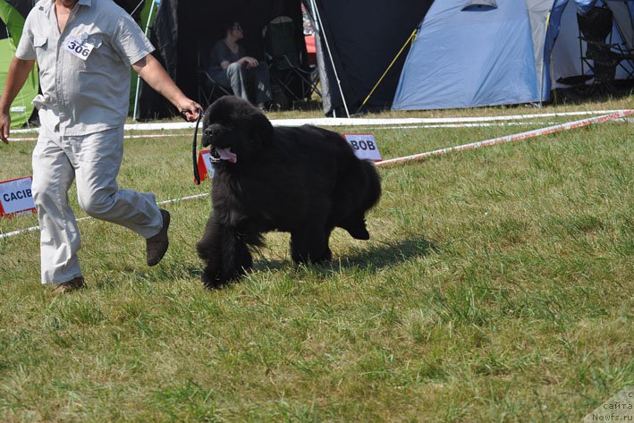 Фотография № 160363