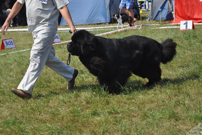 Фотография № 160364