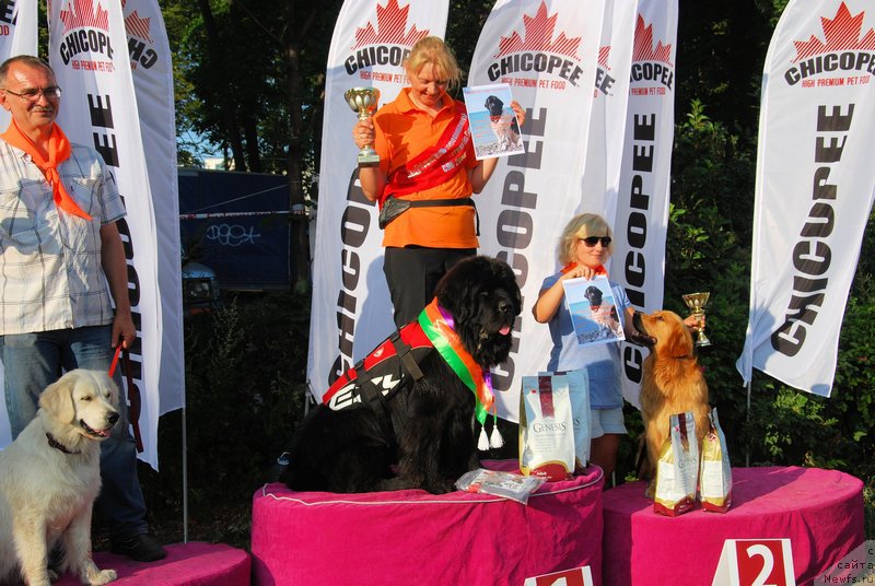 Фотография № 160368