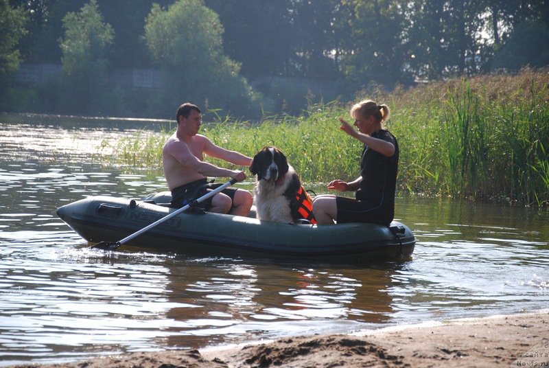 Фотография № 160373