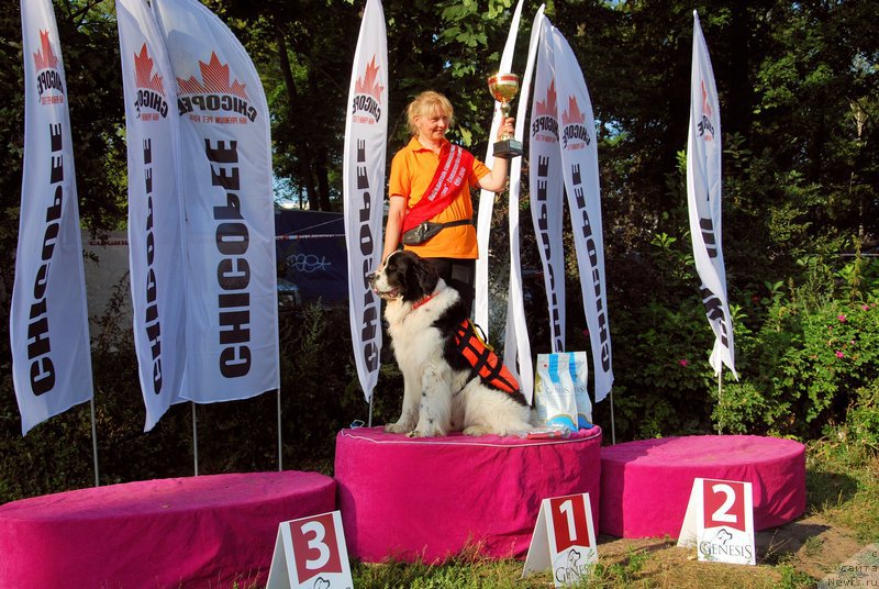 Фотография № 160374