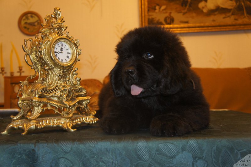 Фотография № 160375